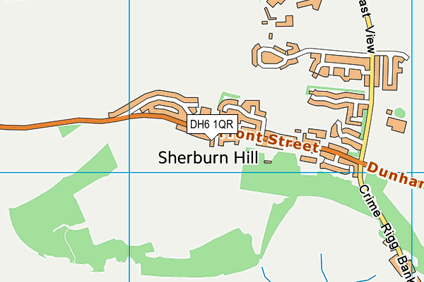 DH6 1QR map - OS VectorMap District (Ordnance Survey)