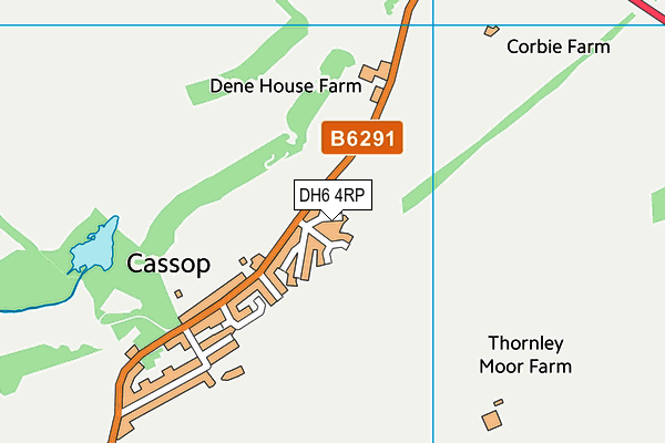 DH6 4RP map - OS VectorMap District (Ordnance Survey) DH6 4RP map - OS VectorMap District (Ordnance Survey)