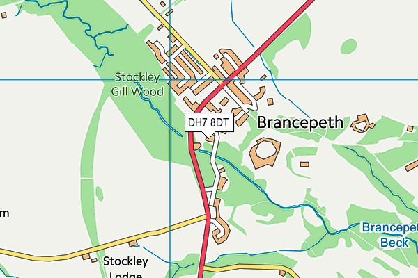 DH7 8DT map - OS VectorMap District (Ordnance Survey) DH7 8DT map - OS VectorMap District (Ordnance Survey)