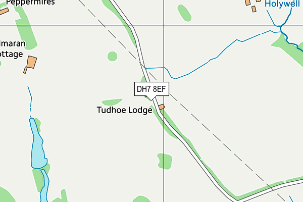 DH7 8EF map - OS VectorMap District (Ordnance Survey) DH7 8EF map - OS VectorMap District (Ordnance Survey)