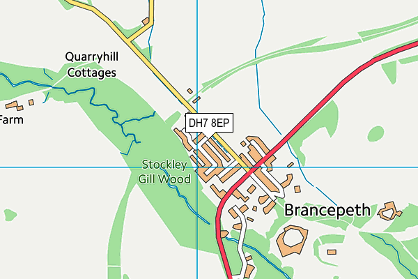 DH7 8EP map - OS VectorMap District (Ordnance Survey) DH7 8EP map - OS VectorMap District (Ordnance Survey)