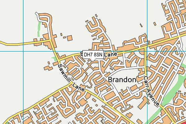 DH7 8SN map - OS VectorMap District (Ordnance Survey) DH7 8SN map - OS VectorMap District (Ordnance Survey)