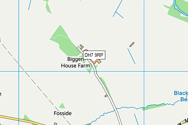 DH7 9RP map - OS VectorMap District (Ordnance Survey) DH7 9RP map - OS VectorMap District (Ordnance Survey)