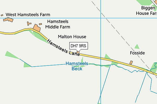 DH7 9RS map - OS VectorMap District (Ordnance Survey)