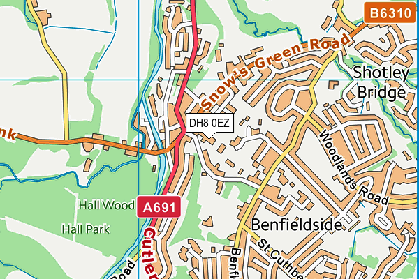 DH8 0EZ map - OS VectorMap District (Ordnance Survey) DH8 0EZ map - OS VectorMap District (Ordnance Survey)