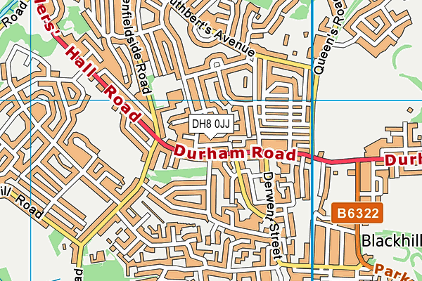DH8 0JJ map - OS VectorMap District (Ordnance Survey) DH8 0JJ map - OS VectorMap District (Ordnance Survey)