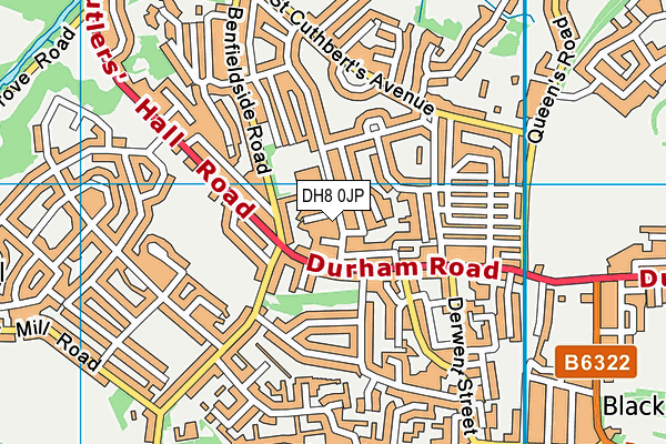 DH8 0JP map - OS VectorMap District (Ordnance Survey) DH8 0JP map - OS VectorMap District (Ordnance Survey)