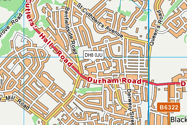DH8 0JU map - OS VectorMap District (Ordnance Survey) DH8 0JU map - OS VectorMap District (Ordnance Survey)