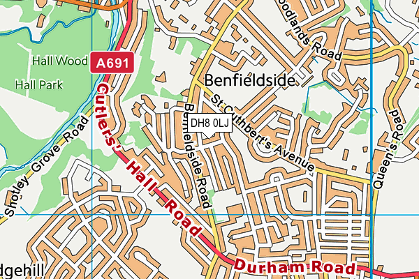 DH8 0LJ map - OS VectorMap District (Ordnance Survey) DH8 0LJ map - OS VectorMap District (Ordnance Survey)