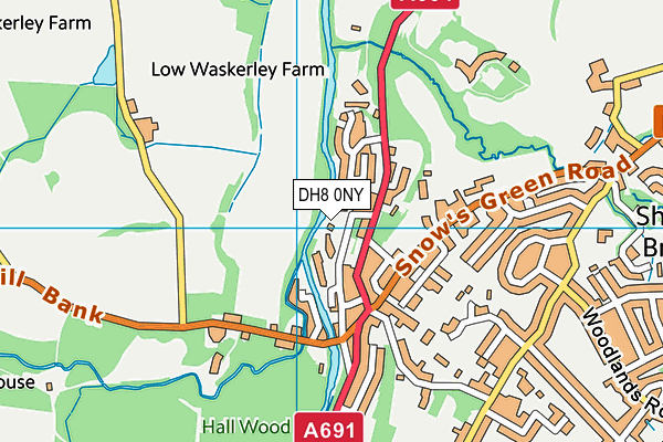 DH8 0NY map - OS VectorMap District (Ordnance Survey)