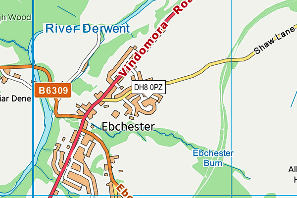 DH8 0PZ map - OS VectorMap District (Ordnance Survey) DH8 0PZ map - OS VectorMap District (Ordnance Survey)