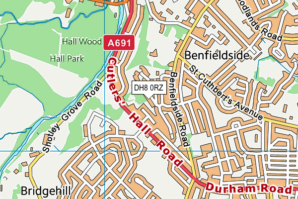 DH8 0RZ map - OS VectorMap District (Ordnance Survey) DH8 0RZ map - OS VectorMap District (Ordnance Survey)