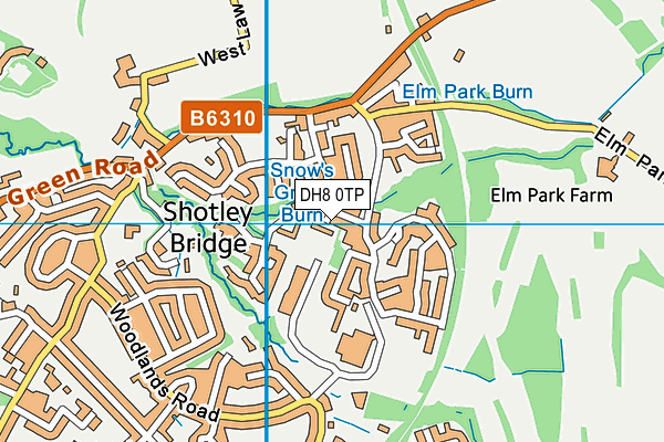 DH8 0TP map - OS VectorMap District (Ordnance Survey) DH8 0TP map - OS VectorMap District (Ordnance Survey)