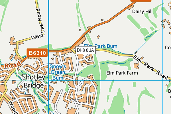 DH8 0UA map - OS VectorMap District (Ordnance Survey)