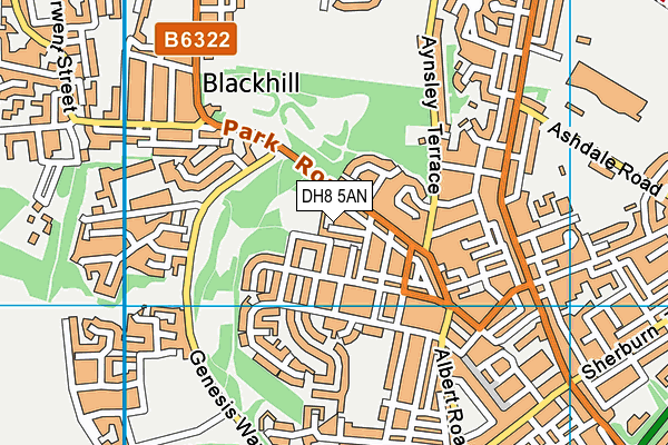 DH8 5AN map - OS VectorMap District (Ordnance Survey) DH8 5AN map - OS VectorMap District (Ordnance Survey)
