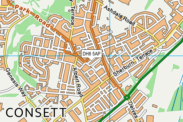 DH8 5AP map - OS VectorMap District (Ordnance Survey) DH8 5AP map - OS VectorMap District (Ordnance Survey)