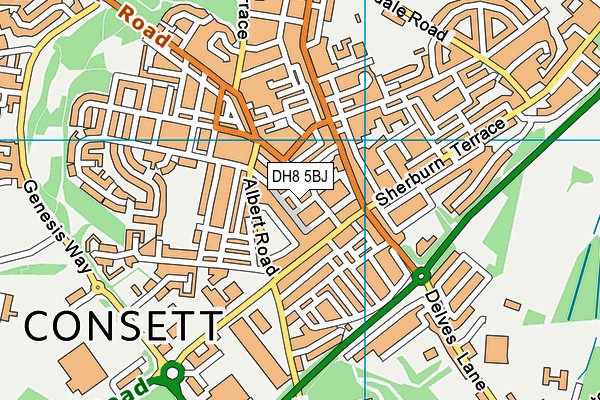 DH8 5BJ map - OS VectorMap District (Ordnance Survey)