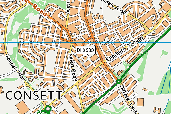 DH8 5BQ map - OS VectorMap District (Ordnance Survey)