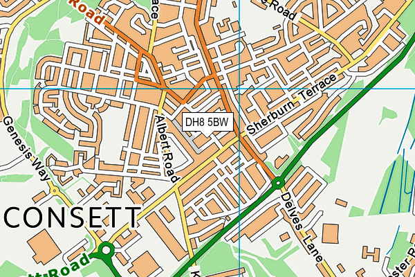 DH8 5BW map - OS VectorMap District (Ordnance Survey)