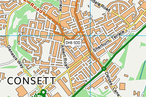 DH8 5DD map - OS VectorMap District (Ordnance Survey) DH8 5DD map - OS VectorMap District (Ordnance Survey)