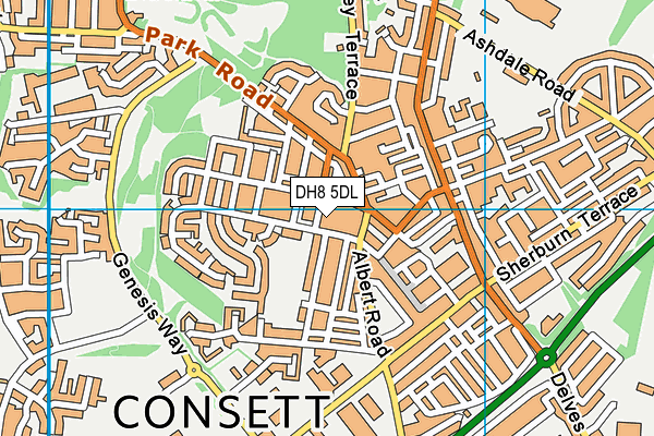 DH8 5DL map - OS VectorMap District (Ordnance Survey)