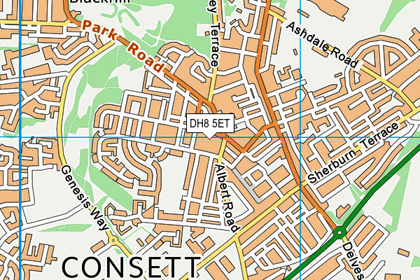 DH8 5ET map - OS VectorMap District (Ordnance Survey) DH8 5ET map - OS VectorMap District (Ordnance Survey)