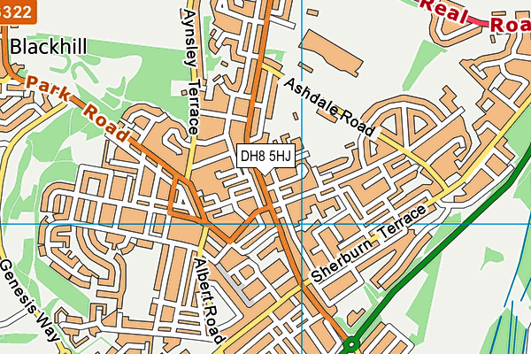 DH8 5HJ map - OS VectorMap District (Ordnance Survey) DH8 5HJ map - OS VectorMap District (Ordnance Survey)