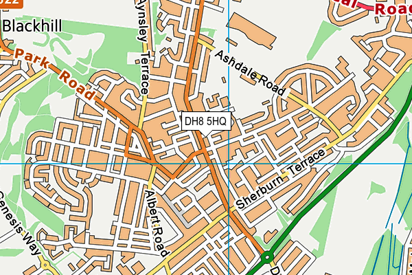 DH8 5HQ map - OS VectorMap District (Ordnance Survey) DH8 5HQ map - OS VectorMap District (Ordnance Survey)