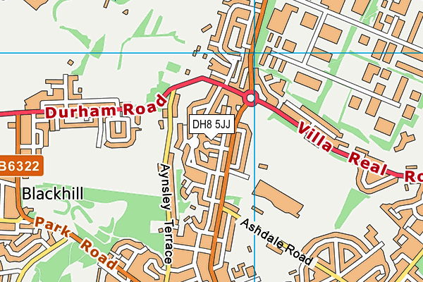 DH8 5JJ map - OS VectorMap District (Ordnance Survey) DH8 5JJ map - OS VectorMap District (Ordnance Survey)