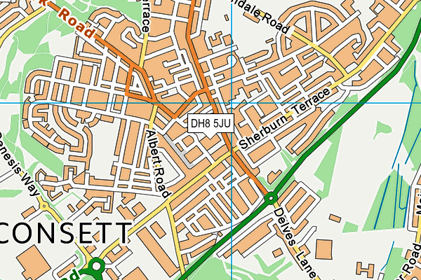 DH8 5JU map - OS VectorMap District (Ordnance Survey) DH8 5JU map - OS VectorMap District (Ordnance Survey)