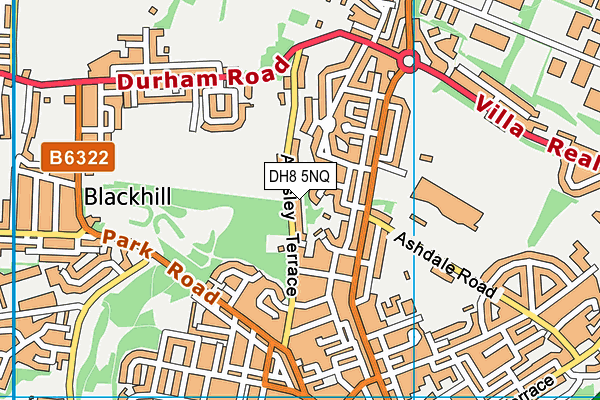 DH8 5NQ map - OS VectorMap District (Ordnance Survey) DH8 5NQ map - OS VectorMap District (Ordnance Survey)