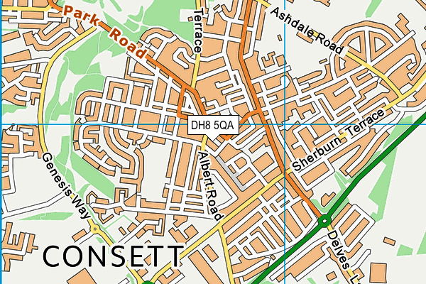 DH8 5QA map - OS VectorMap District (Ordnance Survey) DH8 5QA map - OS VectorMap District (Ordnance Survey)