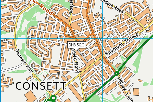 DH8 5QG map - OS VectorMap District (Ordnance Survey)