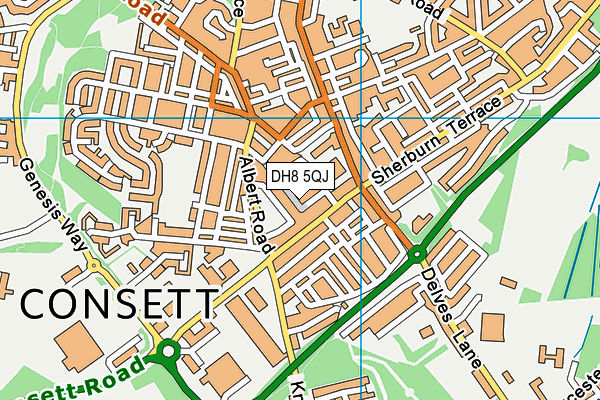 DH8 5QJ map - OS VectorMap District (Ordnance Survey) DH8 5QJ map - OS VectorMap District (Ordnance Survey)
