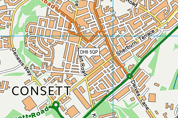 DH8 5QP map - OS VectorMap District (Ordnance Survey) DH8 5QP map - OS VectorMap District (Ordnance Survey)