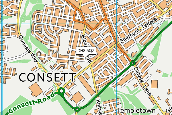 DH8 5QZ map - OS VectorMap District (Ordnance Survey) DH8 5QZ map - OS VectorMap District (Ordnance Survey)