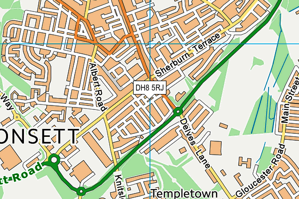 DH8 5RJ map - OS VectorMap District (Ordnance Survey) DH8 5RJ map - OS VectorMap District (Ordnance Survey)