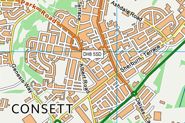 DH8 5SD map - OS VectorMap District (Ordnance Survey) DH8 5SD map - OS VectorMap District (Ordnance Survey)