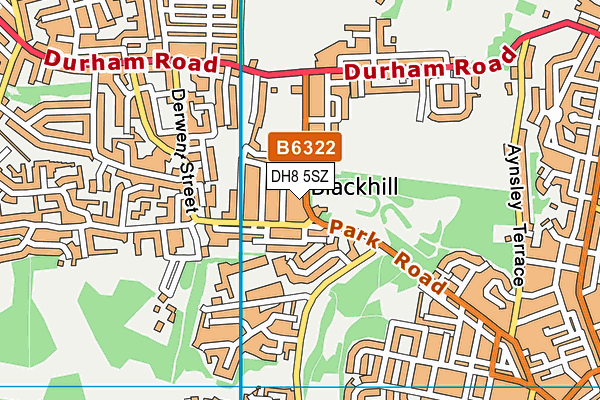 DH8 5SZ map - OS VectorMap District (Ordnance Survey)
