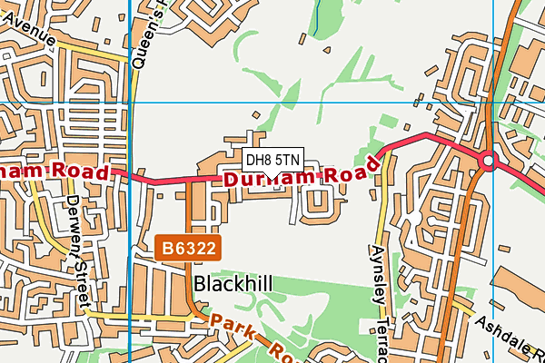 DH8 5TN map - OS VectorMap District (Ordnance Survey)