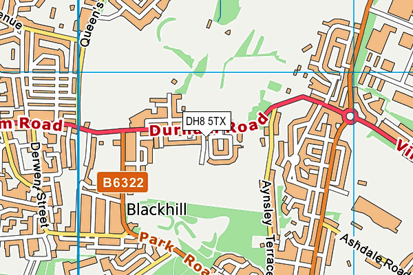DH8 5TX map - OS VectorMap District (Ordnance Survey) DH8 5TX map - OS VectorMap District (Ordnance Survey)