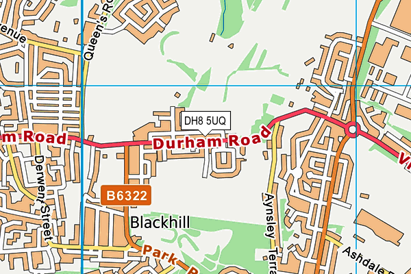 DH8 5UQ map - OS VectorMap District (Ordnance Survey) DH8 5UQ map - OS VectorMap District (Ordnance Survey)