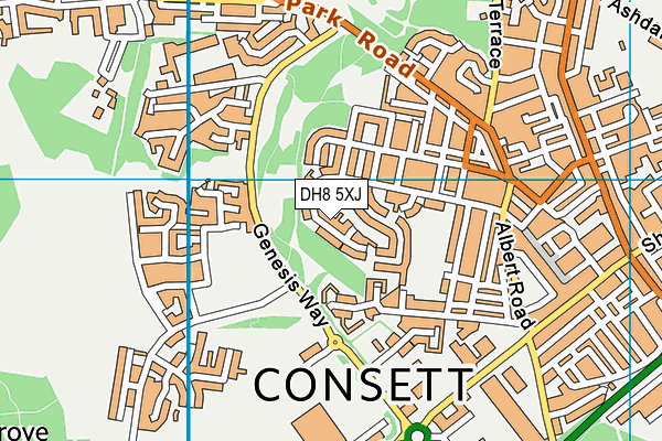 DH8 5XJ map - OS VectorMap District (Ordnance Survey) DH8 5XJ map - OS VectorMap District (Ordnance Survey)