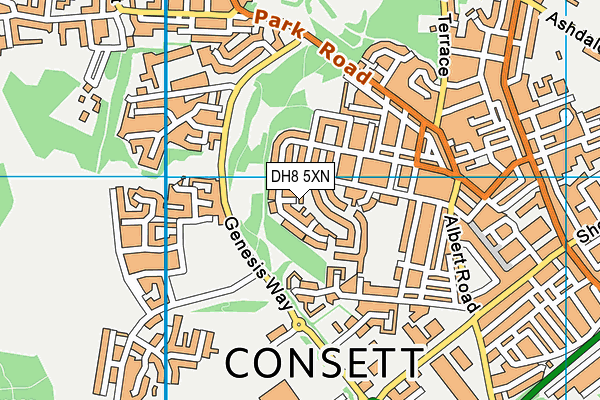 DH8 5XN map - OS VectorMap District (Ordnance Survey) DH8 5XN map - OS VectorMap District (Ordnance Survey)