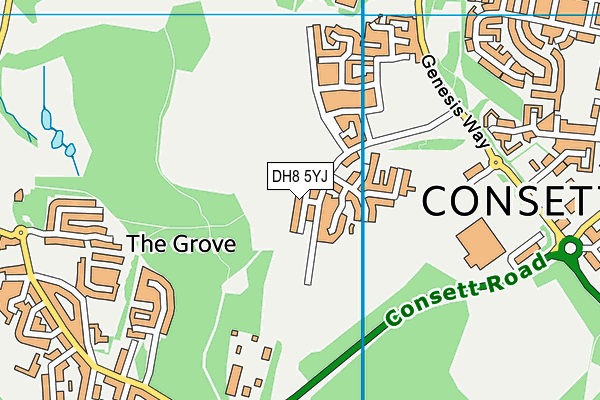 DH8 5YJ map - OS VectorMap District (Ordnance Survey) DH8 5YJ map - OS VectorMap District (Ordnance Survey)