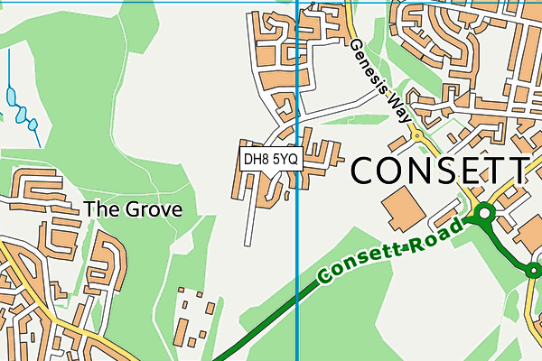 DH8 5YQ map - OS VectorMap District (Ordnance Survey) DH8 5YQ map - OS VectorMap District (Ordnance Survey)