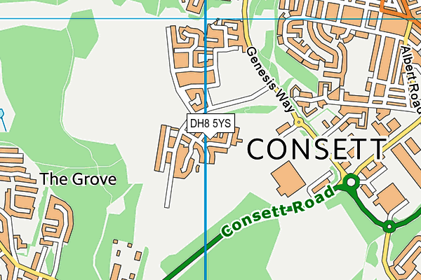 DH8 5YS map - OS VectorMap District (Ordnance Survey) DH8 5YS map - OS VectorMap District (Ordnance Survey)