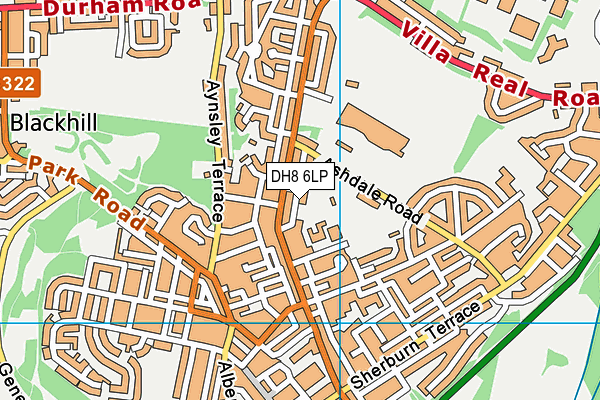 DH8 6LP map - OS VectorMap District (Ordnance Survey) DH8 6LP map - OS VectorMap District (Ordnance Survey)
