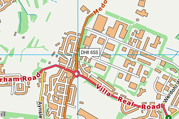 DH8 6SS map - OS VectorMap District (Ordnance Survey)