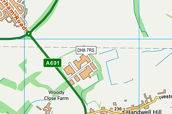 DH8 7RS map - OS VectorMap District (Ordnance Survey) DH8 7RS map - OS VectorMap District (Ordnance Survey)